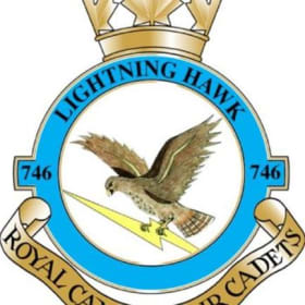 746 Lightning Hawk Sticker item