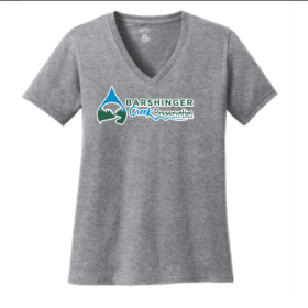 Ladies SS V-neck Tee, 2XL Ath. Heather, Lime, N. Blue item