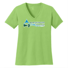 Ladies SS V-neck Tee, 3XL - 4XL Ath. Heather, Lime, N. Blue item