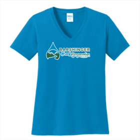 Ladies SS V-neck Tee, 3XL - 4XL Ath. Heather, Lime, N. Blue item