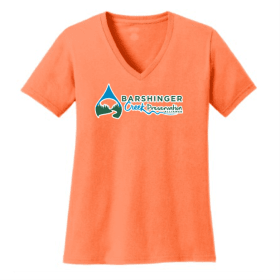 Ladies SS V-neck Tee, 3XL - 4XL N.Orange, N.Pink, Raspberry item
