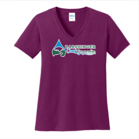 Ladies SS V-neck Tee, 3XL - 4XL N.Orange, N.Pink, Raspberry item