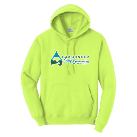 YOUTH Hoodie, MED - XL Ash, Neon Pink, Neon Yellow item