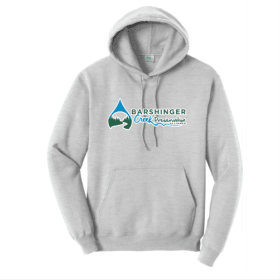 Adult Hoodie, 2XL Ash, Neon Pink, Teal item