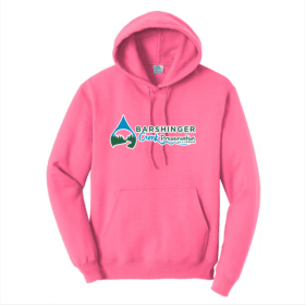 Adult Hoodie, 2XL Ash, Neon Pink, Teal item