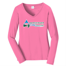 Ladies LS T-shirt, 2XL New Pink, Royal, Red item