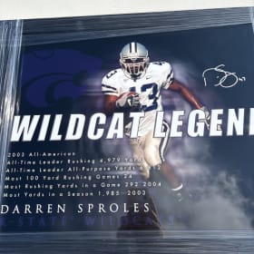 Darren Sproles picture item