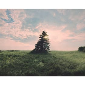 One framed 8x10 photo of choice item