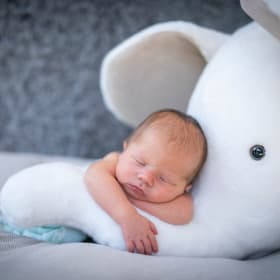 Newborn Photography Session - Kate Duffy Photography, LLC item