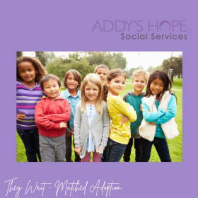 Application Fee item