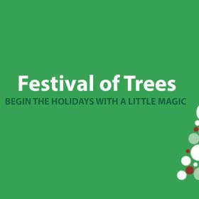 I'll Be Gnome for the Holidays item