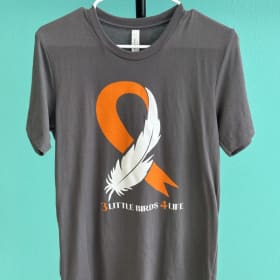 Short Sleeve T-shirt - Original Feather Logo - Gray Only item