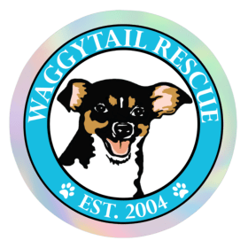 2" Circular Holographic Sticker item