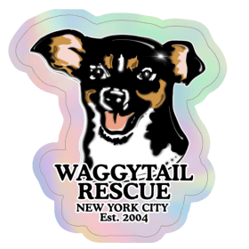 2" Die Cut Holographic Sticker item