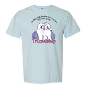 Pre-Order: Friendship Logo- Comfort Colors T-Shirt item