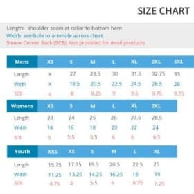 Pre-Order: Friendship Logo- Comfort Colors T-Shirt item