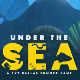 Under the Sea Camp Package item