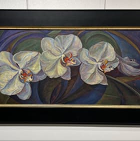 STUDIO 225. "Phaelenonopsis (White Moth Orchids)" item