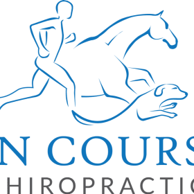 Equine Chiropractic Assessment, $235 Value item