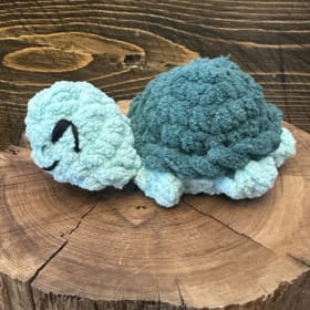 DR - Tommy the Turtle item