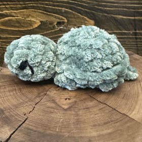 DT - Jasper the Turtle item