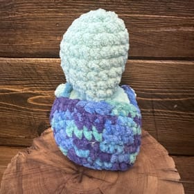 DW - Mateo Turtle item