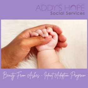 Application Fee item