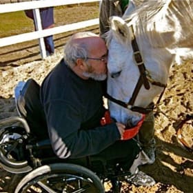 Accompagnement personnalisé par le cheval item
