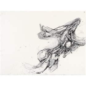Tara Geer, milkweed leaving / head into wind (ACDC.25.041) item
