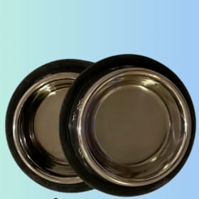 Champion's Trophy Cat Activity Kit item