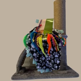 Champion's Trophy Cat Activity Kit item