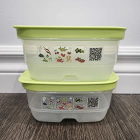 Mini intellifrais Tupperware (2) item