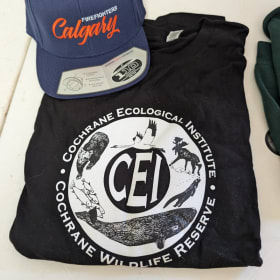 Tshirt and hat item