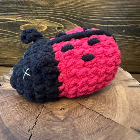 ER - Dash the Ladybug item