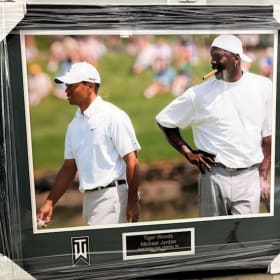Tiger Woods and Michael Jordan item
