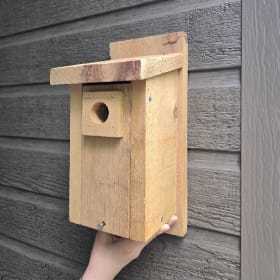 Cabane à oiseau - Atelier La Patente item