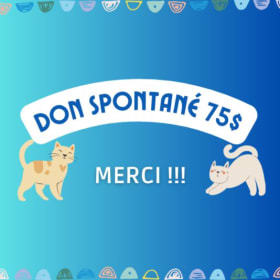 Don spontané - 75$ item
