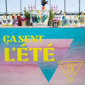 LOT #13 - DISTILLERIE 3 LACS - 80 $ item