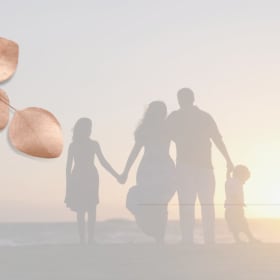 Family Reintegration Toolkit item