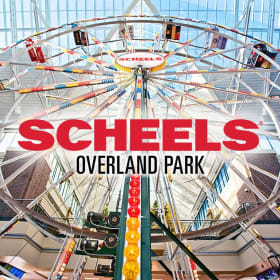Scheels Gift Card item