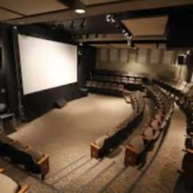 NOUVEAU LOT - Une paire de billets pour le Cinéma Public - B item