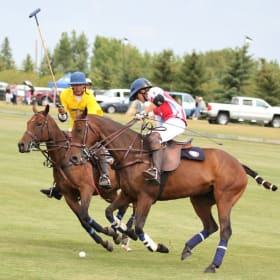 The Gems Cup - August 9th item