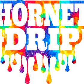 🌈🐝 Hornet Drip Tee – Liberty Elementary Edition 🐝🌈 Adult item