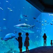 KC Zoo & Aquarium Tickets item