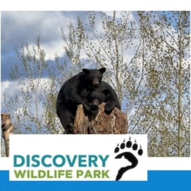 Family Pass (1 of 3)- Donated by Discovery Wildlife Park item