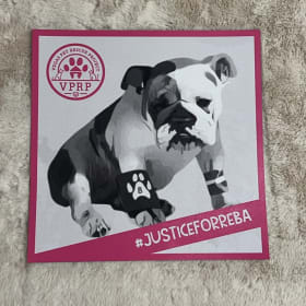 #JusticeForReba Car Magnet - Small item
