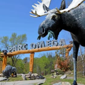 LOT #15 - PARC OMÉGA - 160 $ item