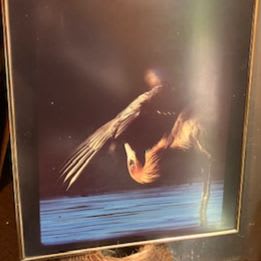 Framed Heron Photo item