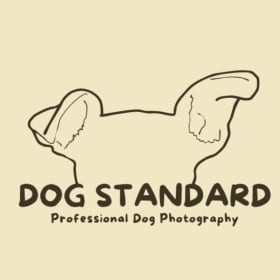 $300 Gift Card to Dog Standard item