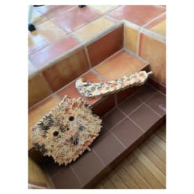 "Scooty" - Cat table item